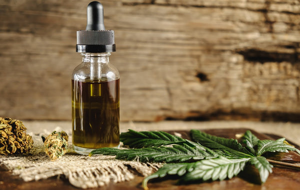 Can CBD Help You Sleep Better? Breaking down all that you need to know